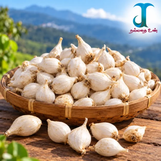 Single Clove Mountain Garlic 1 kg – Hill Garlic